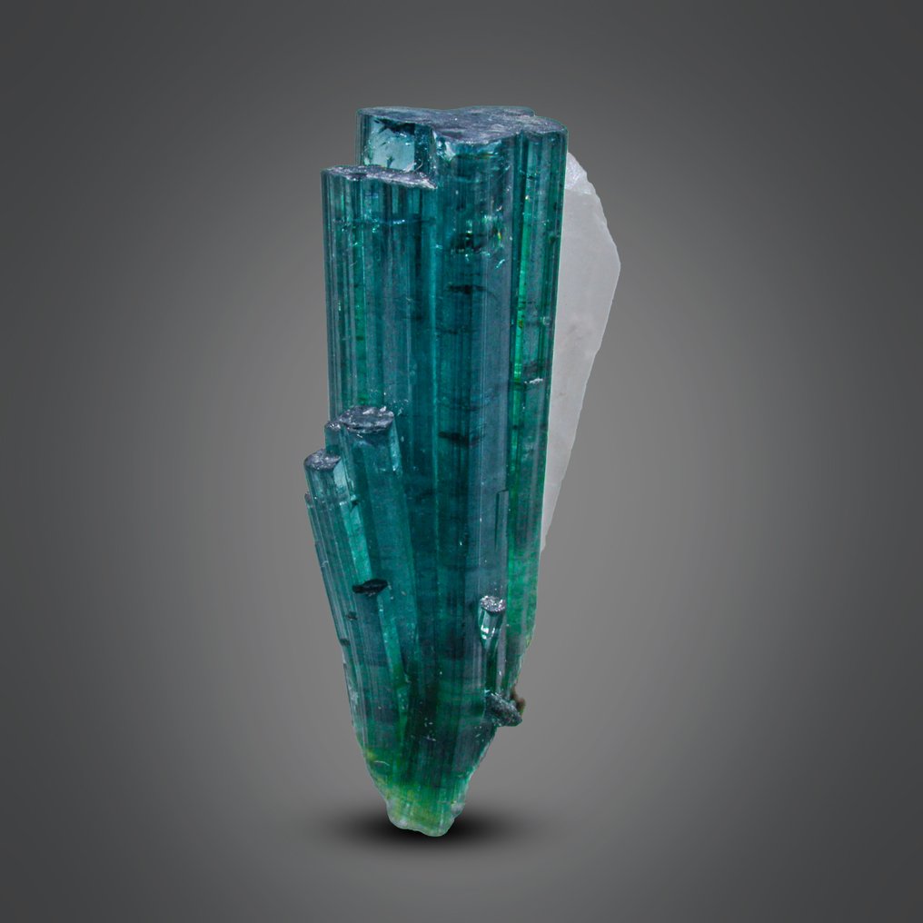 Τουρμαλίνης Δείγμα - Ύψος: 25 mm - Πλάτος: 9 mm- 3.98 g - (1) #1.0