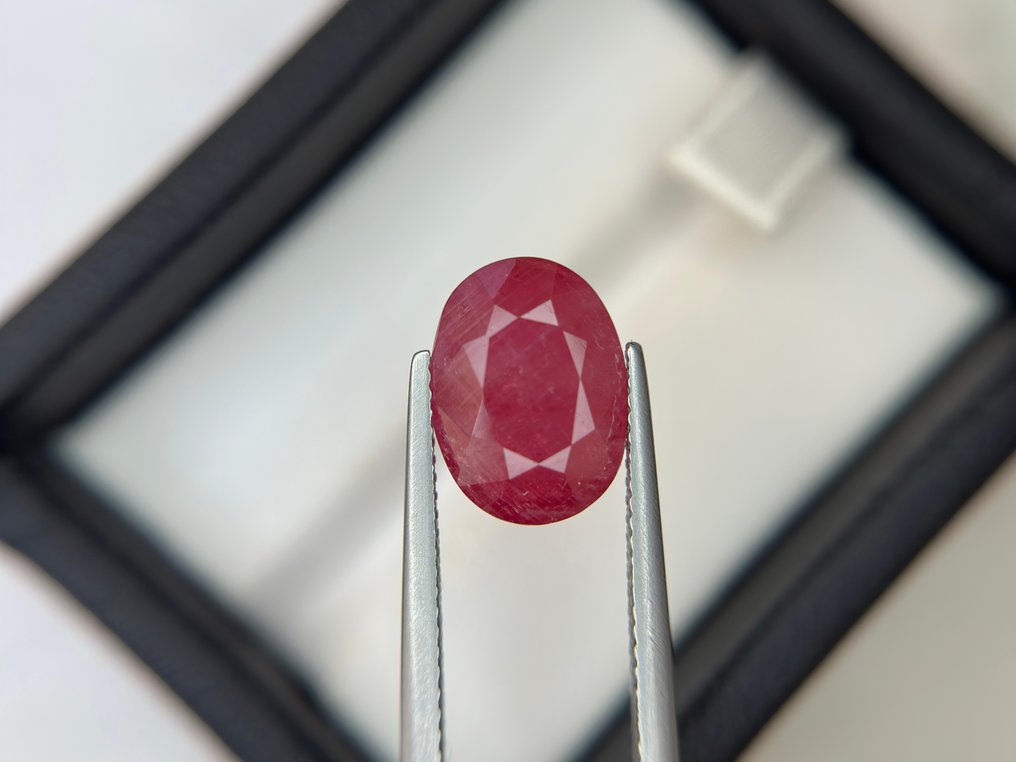 χωρίς τιμή ασφαλείας - 1 pcs  Κόκκινο Ρουμπίνι  - 5.69 ct - Lotus Gemology - Χωρίς θέρμανση, πλούσιο κόκκινο ρουμπί. #1.0