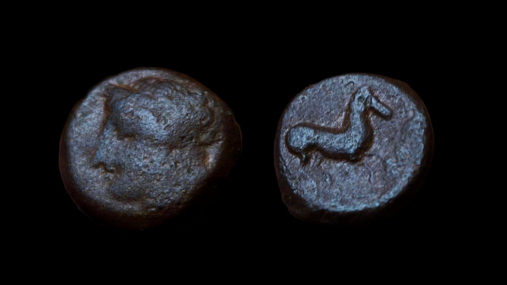 Sicily, Syracuse, Zeugitana, Carthage Lot of 2 AE Coins 4th-3rd century BC (χωρίς τιμή ασφαλείας) #2.1