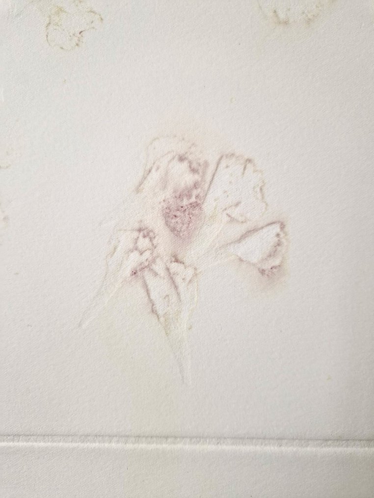 maismenos - Abril Mágoas Mil AP #4.3