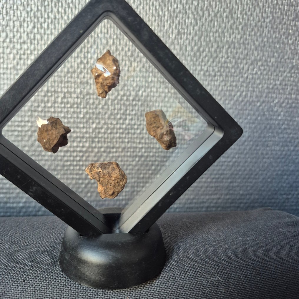 Al Haggounia 001 meteorite Beautiful display - Height: 28 mm - Width: 21 mm - 12.5 g - (4) #1.0