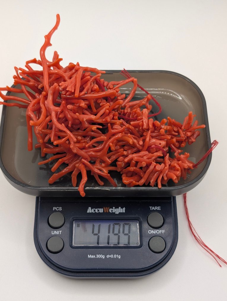 Koraal - geen afsluiting - Halsketting #4.3