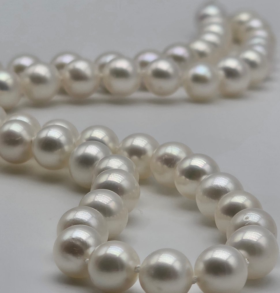 χωρίς τιμή ασφαλείας - Κολιέ - 18 καράτια Λευκός χρυσός Μαργαριτάρι - Perle akoya από 6.6 έως 6.9 #1.0