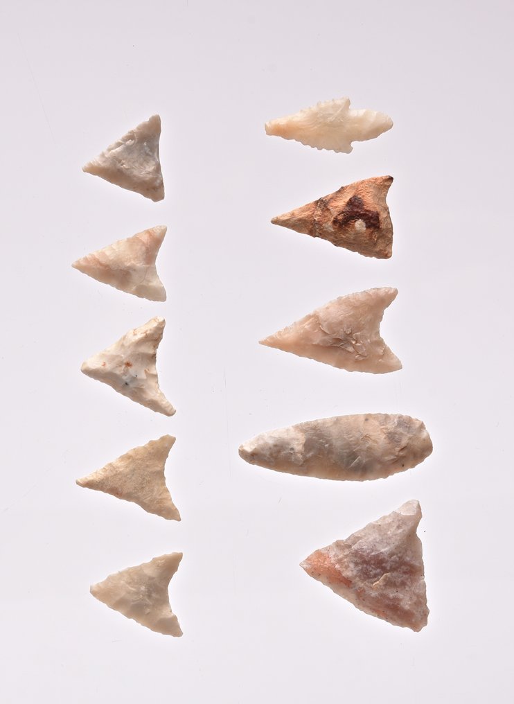 10 Neolithic arrowheads flint Arrow head  (No reserve price) #1.0