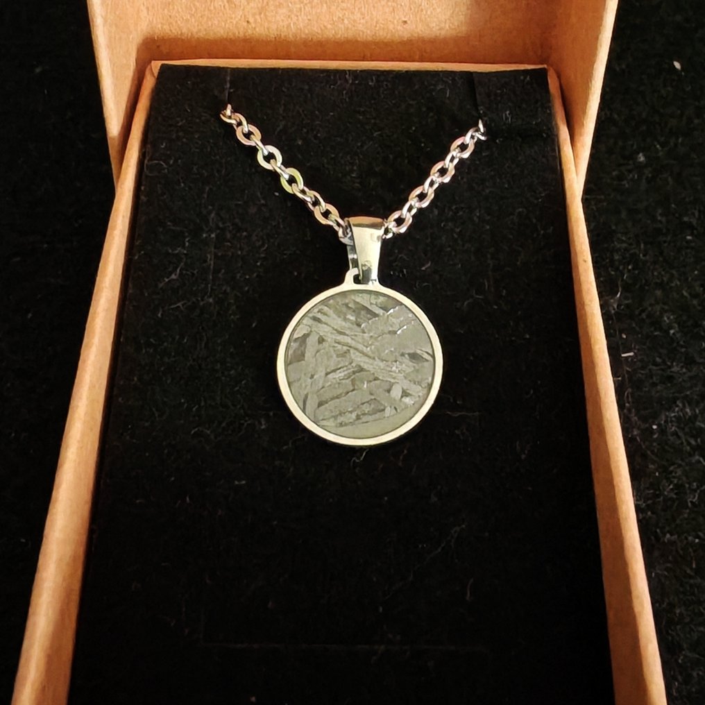 Μενταγιόν από ατσάλι και μετεωρίτη Aletai με αλυσίδα από ανοξείδωτο ατσάλι. Μετεωρίτης σιδήρου - Ύψος: 23 mm - Πλάτος: 15.5 mm - 2.22 g - (1) #1.0