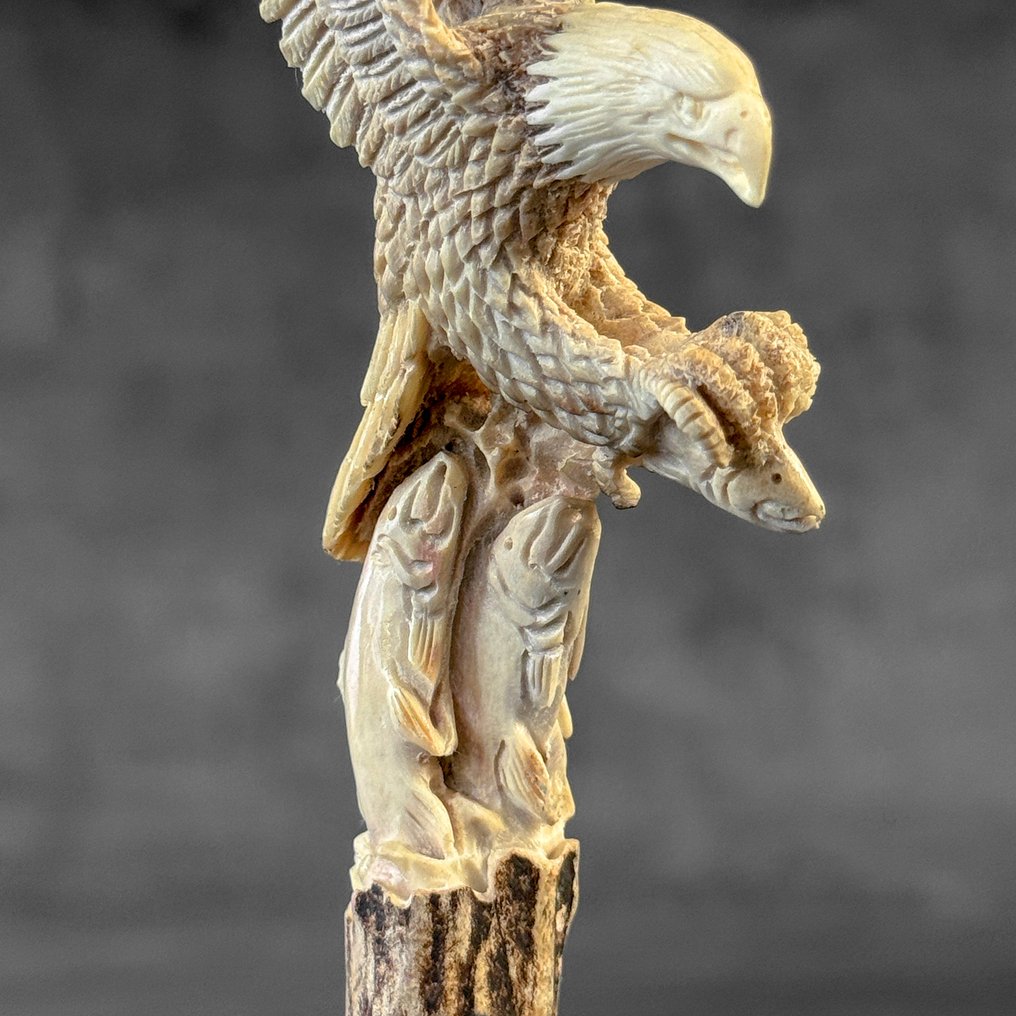 Utskjæring, NO RESERVE PRICE - Stunning salmon hunting Eagle Carving from a deer antler - 19 cm - Elggevir, Tre - 2025 #4.3
