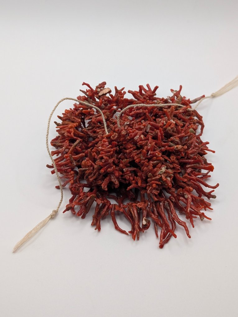 Κοράλλι αίματος - χωρίς κλείσιμο - Κολιέ #3.2