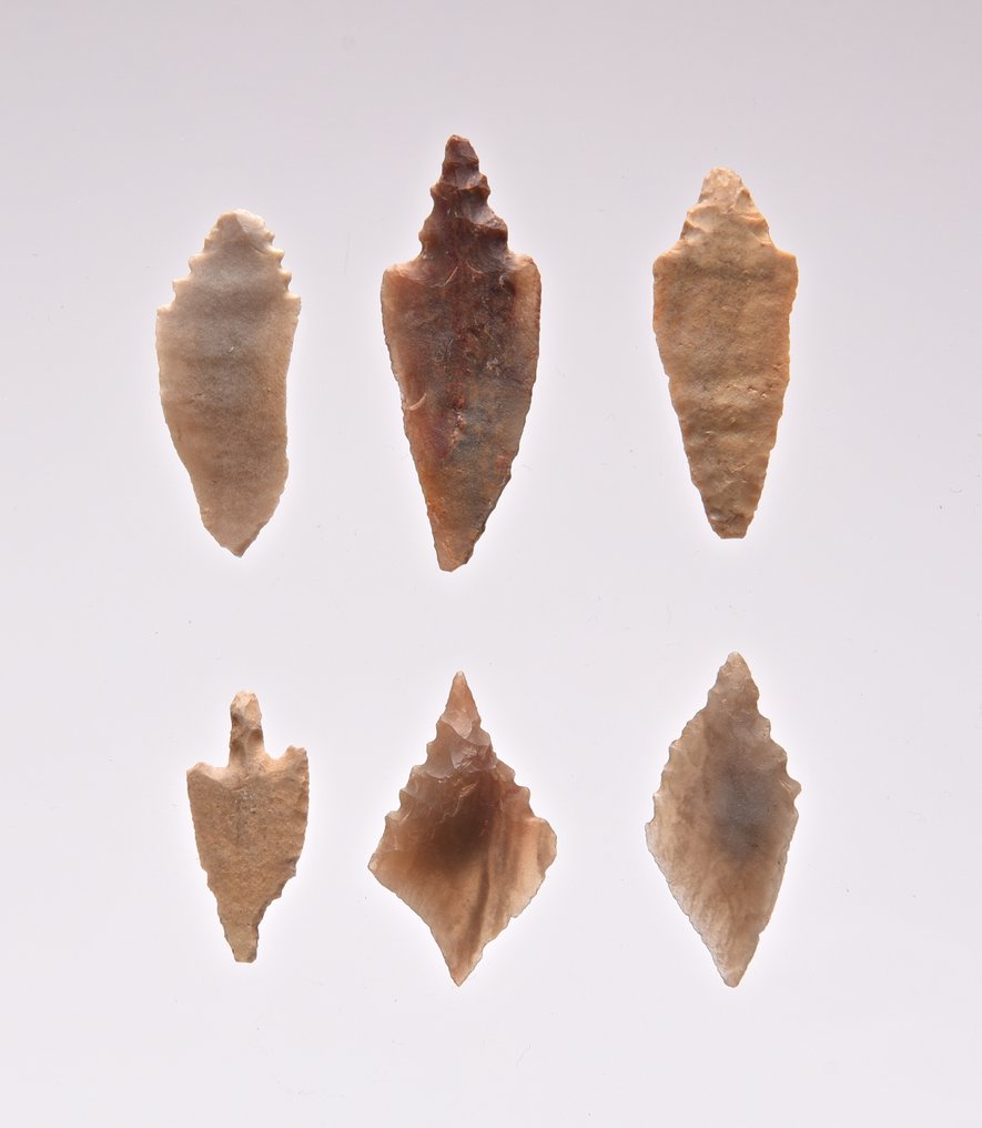 6个新石器时代的箭头 燧石 箭頭  (沒有保留價) #4.3