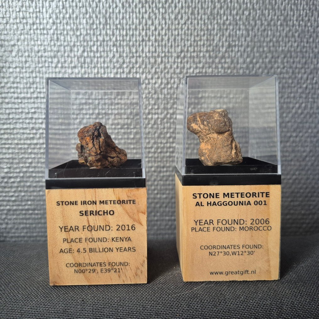 Meteorite collection - SERICHO - AL HAGGOUNIA 001 in displays - Height: 35 mm - Width: 23 mm - 54.3 g - (2) #1.0