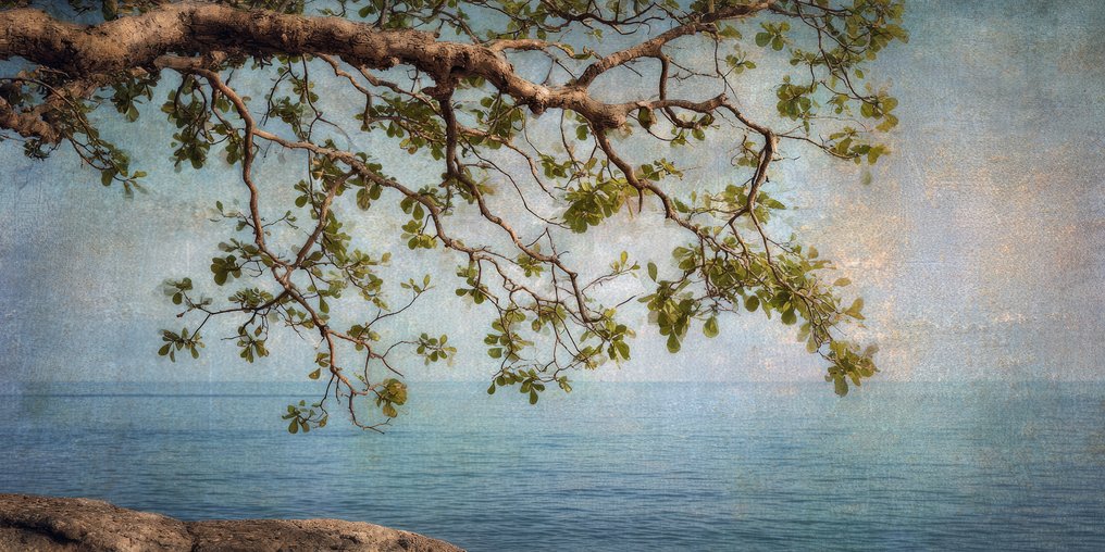 Miss Evoke - Lovelorn - XXL #2.1