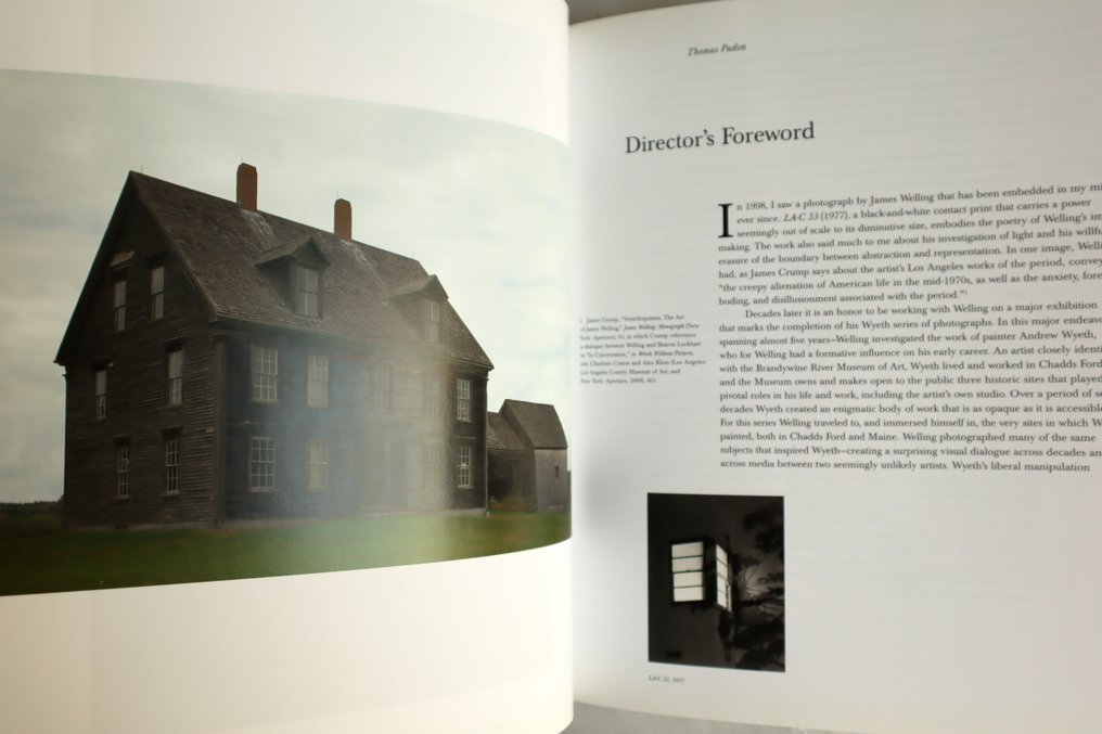 James Welling - Things Beyond Resemblance - 2015 #2.1