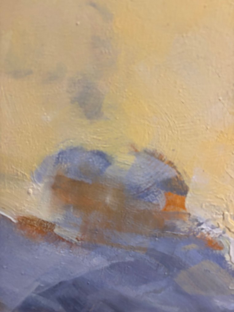 Hugo Delorme - La baie jaune 6 #1.0