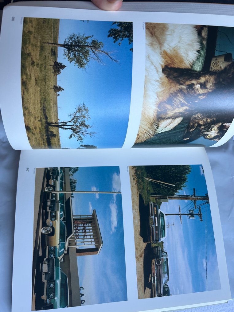 Stephen Shore - American Surfaces - 2005-2011 #3.2