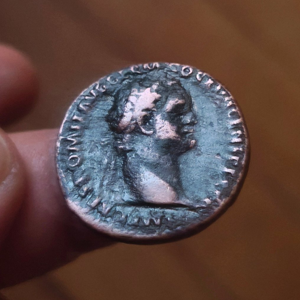 Ρωμαϊκή Αυτοκρατορία. Domitian (AD 81-96). Æ Bronze As Vitus  (χωρίς τιμή ασφαλείας) #1.0