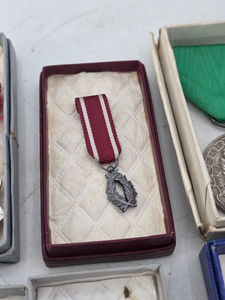 欧洲 - 服務獎章 #2.1