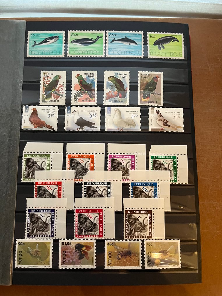 θέμα ζώων 1960/2022 - w.o. vogels #1.0