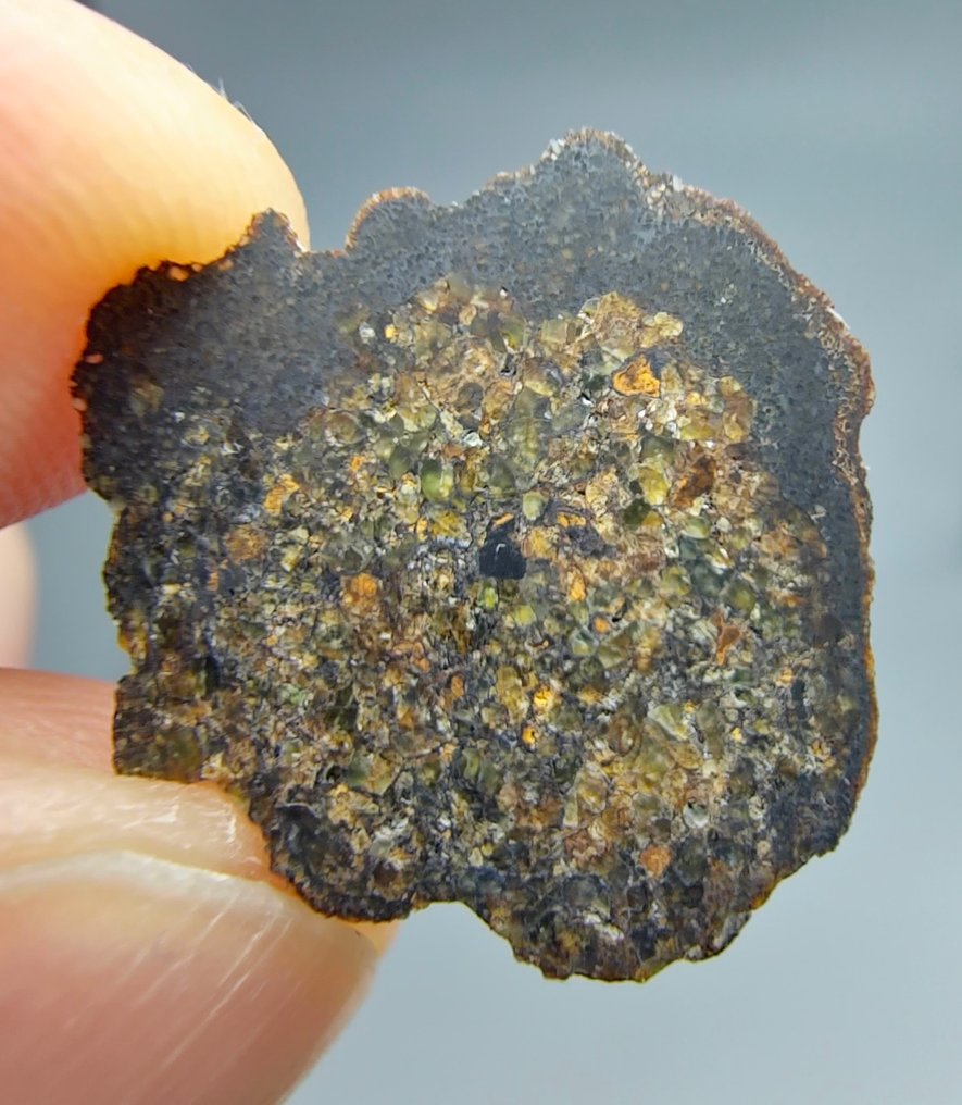 Lodranite Meteorite. NWA 17905. Primitive achondrite - 1.75 g #1.0