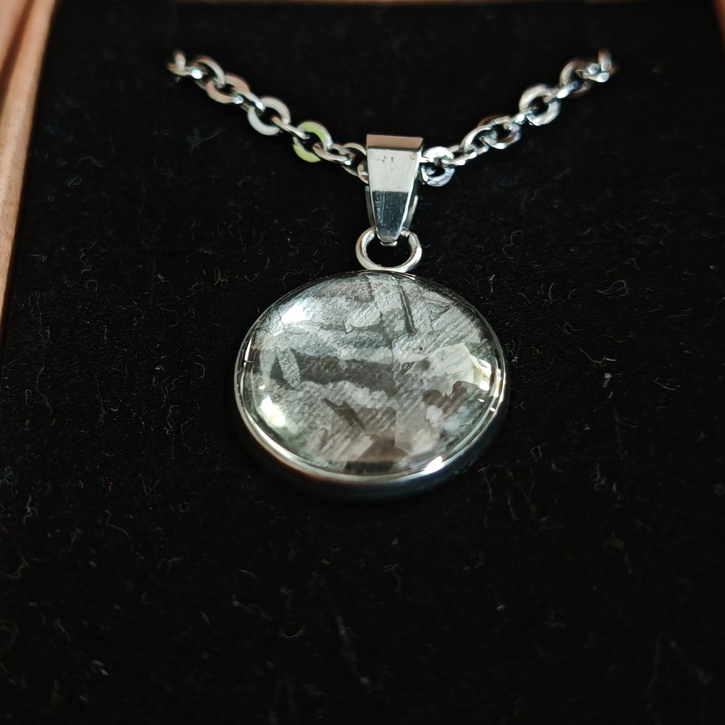 Μενταγιόν από ατσάλι και μετεωρίτη Aletai με αλυσίδα από ανοξείδωτο ατσάλι. Μετεωρίτης σιδήρου - Ύψος: 24 mm - Πλάτος: 15.5 mm - 2.33 g - (1) #1.0