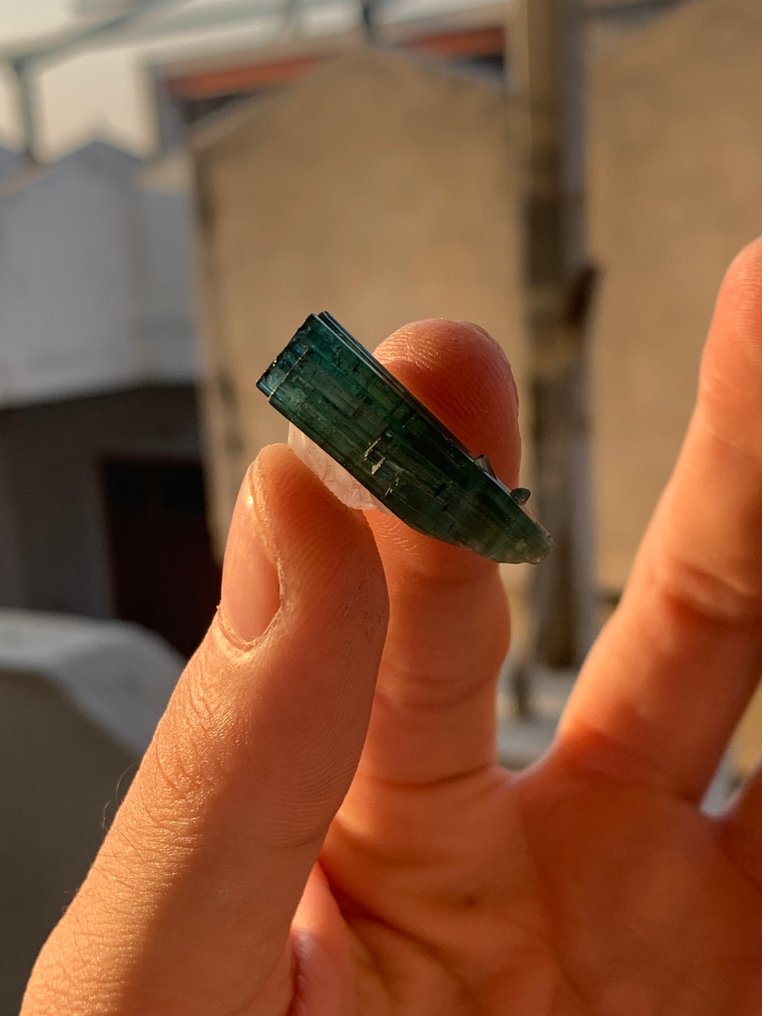 Τουρμαλίνης Δείγμα - Ύψος: 25 mm - Πλάτος: 9 mm- 3.98 g - (1) #4.3