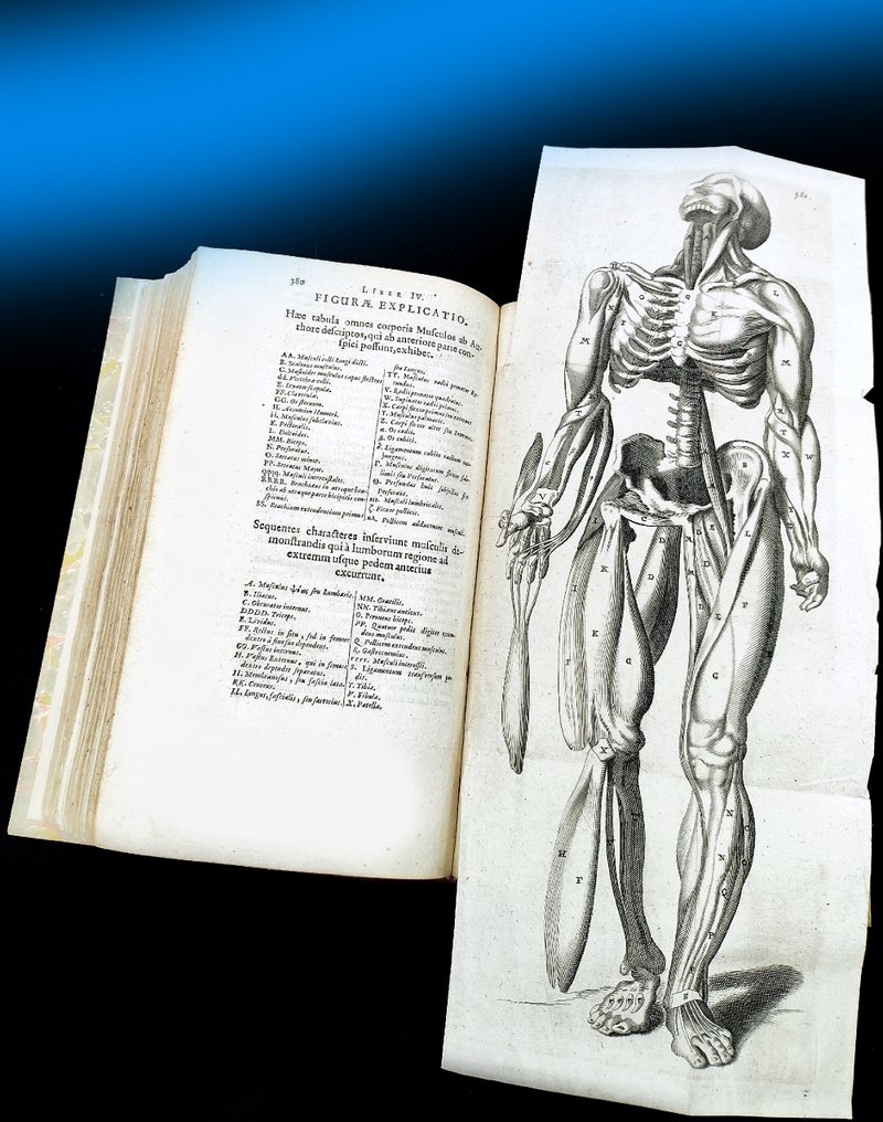 Thomas Bartholin - Anatomia Reformata (Anatomy Reformed) - 1655 #3.2