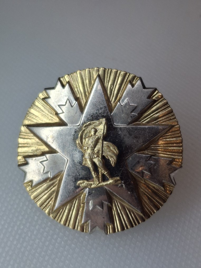 南斯拉夫 - 軍功章 - 国家荣誉勋章 - 1945 #1.0