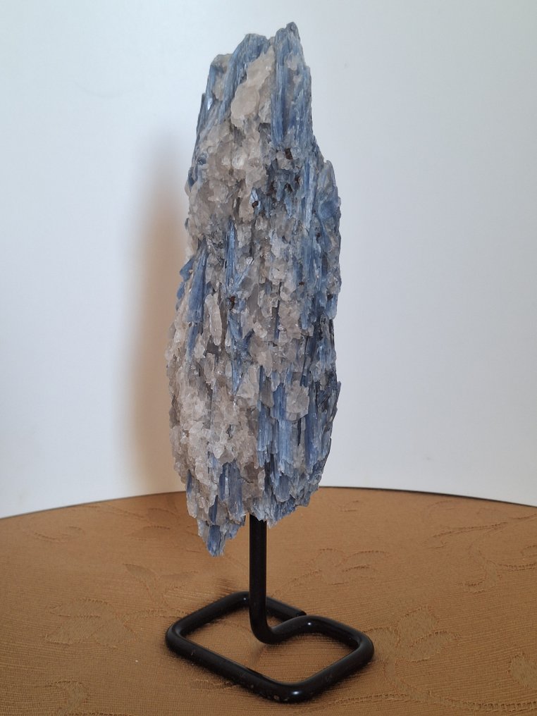 Kyanite Crystal - Height: 22 cm - Width: 8 cm- 755 g - (1) #2.1
