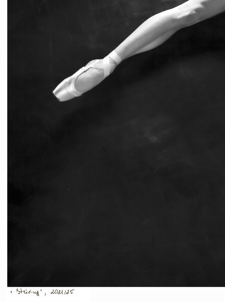 Nata Chebotareva - Striving #3.2