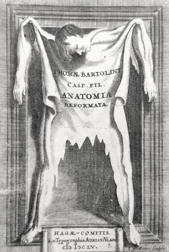 Thomas Bartholin - Anatomia Reformata (Anatomy Reformed) - 1655 #1.0