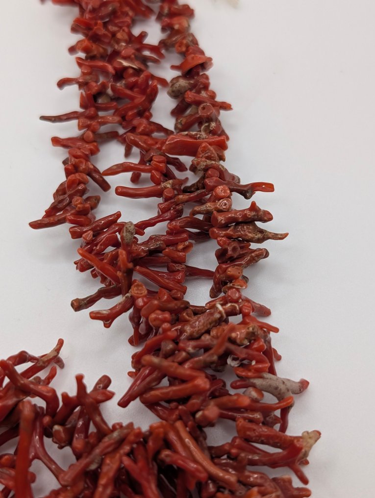 Κοράλλι αίματος - χωρίς κλείσιμο - Κολιέ #2.1