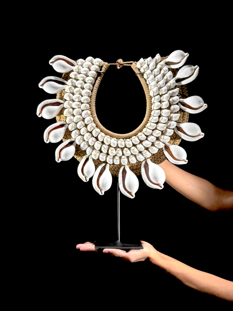 Ornement décoratif - NO RESERVE PRICE - SN1 - Stunning Decorative Shell ...