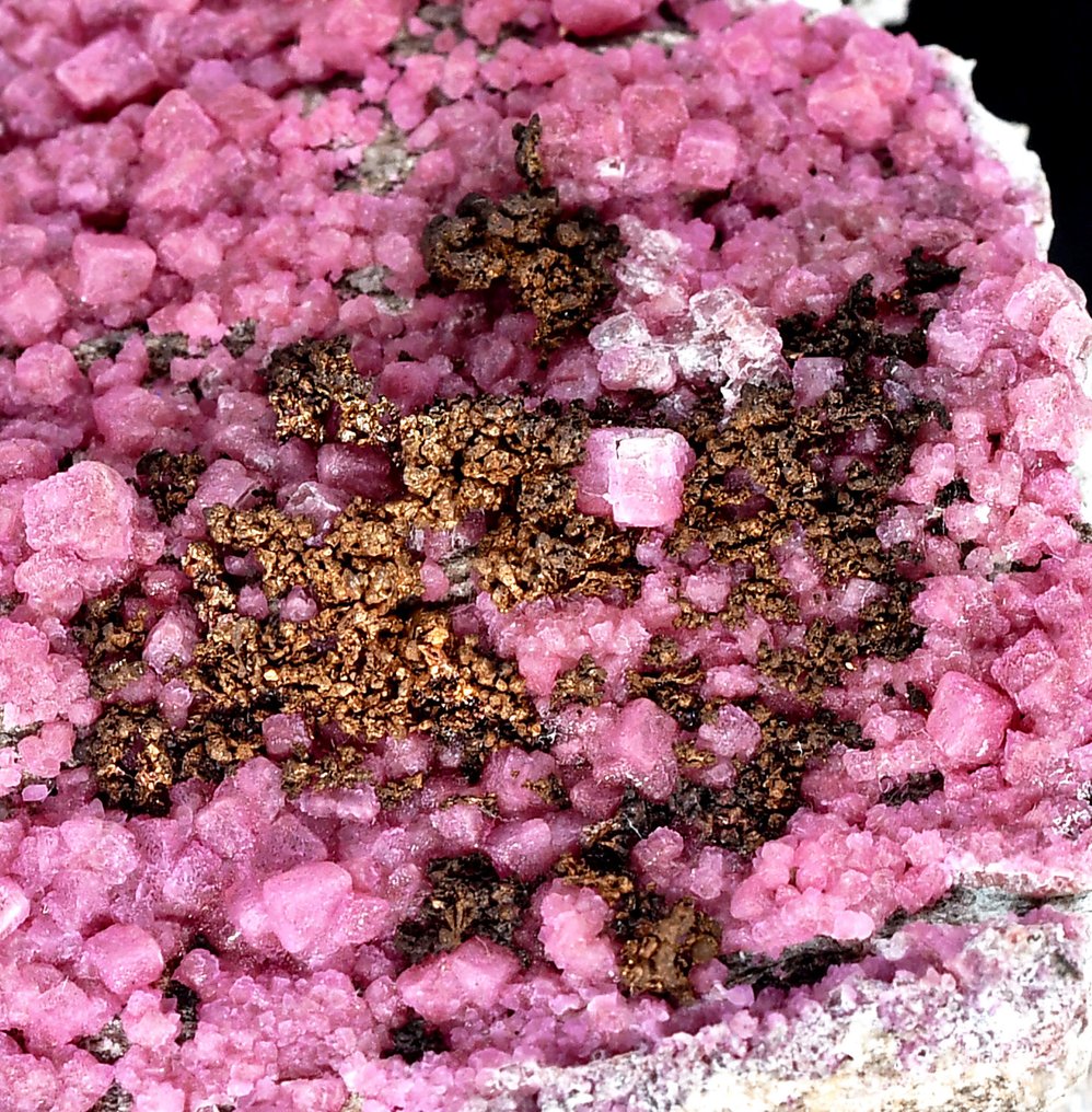 结晶的天然铜在钴辉石白云石上 来自刚果民主共和国——有趣且罕见的标本 - 高度: 7.5 cm - 闊度: 4.4 cm- 149 g #1.0