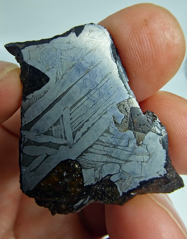 Pallasite Meteorite, NWA 16774. No reserve price. - 10.42 g #1.0