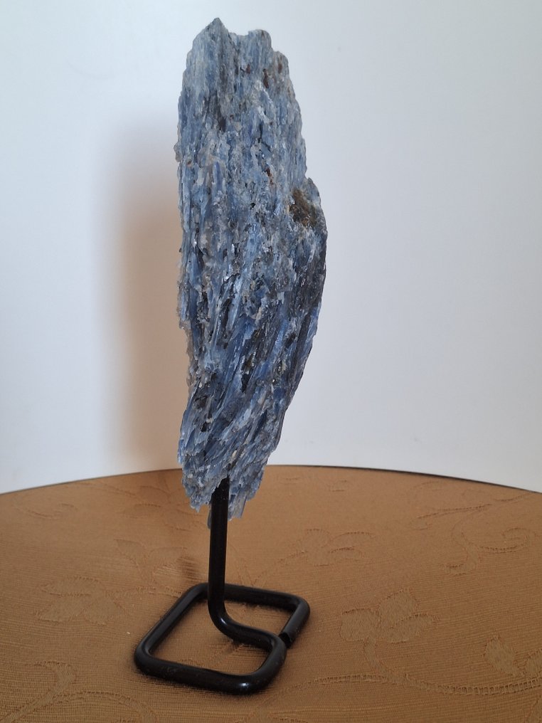Kyanite Crystal - Height: 22 cm - Width: 8 cm- 755 g - (1) #3.2