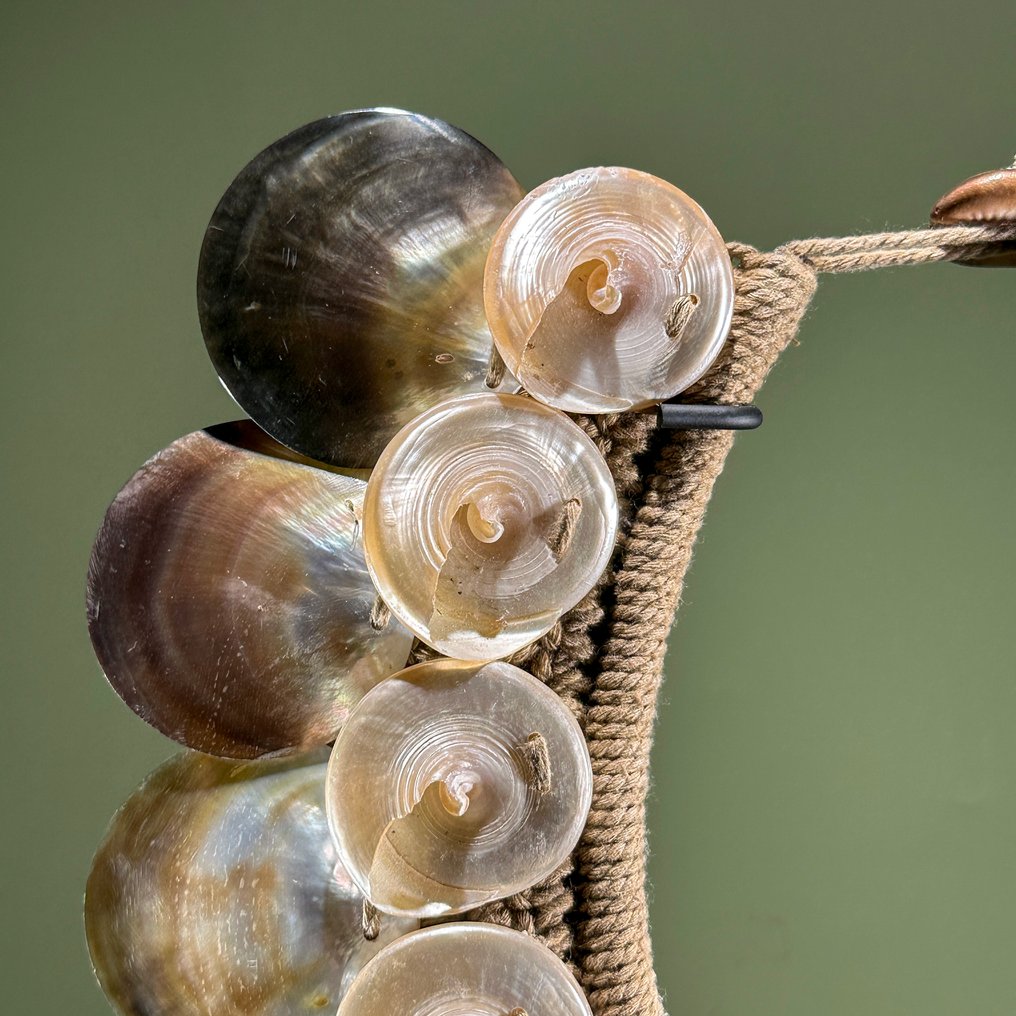 装饰饰品 - NO RESERVE PRICE - SN5 - Decorative Shell Necklace on Custom Stand - 巴布亚新几内亚 #3.2