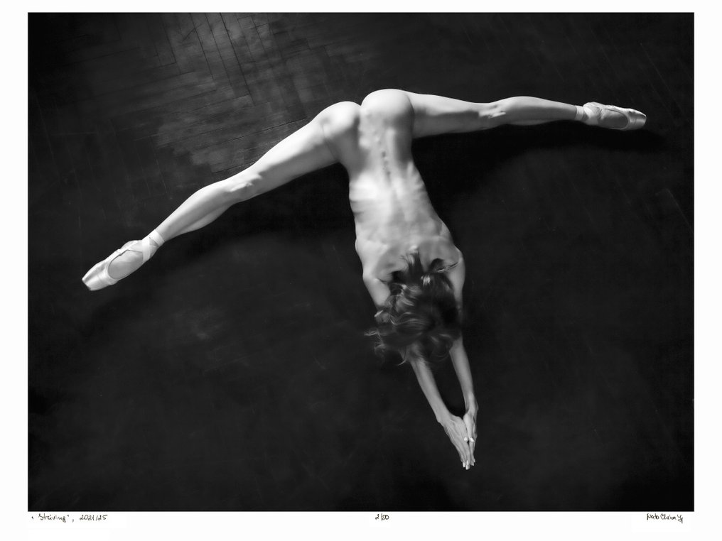 Nata Chebotareva - Striving #1.0