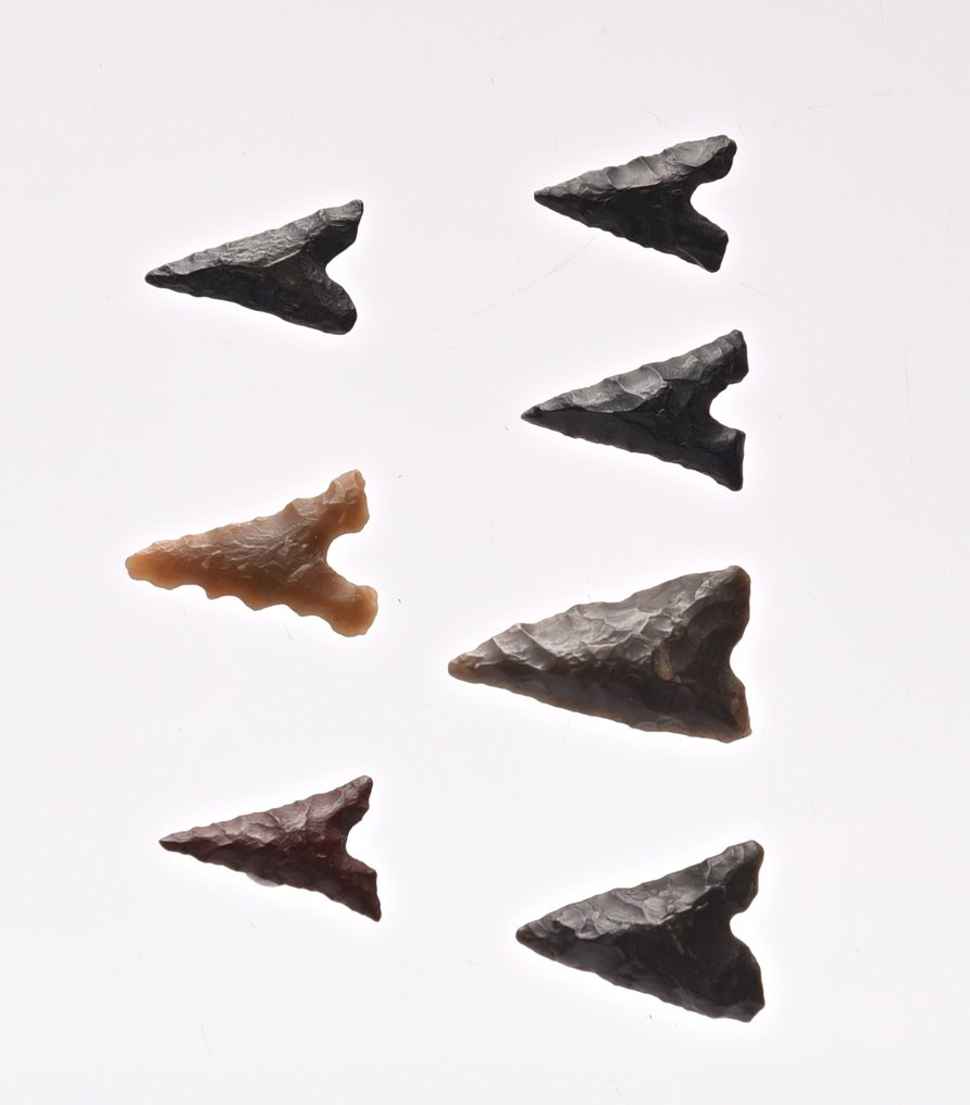 7个新石器时代的箭头 燧石 箭頭  (沒有保留價) #1.0