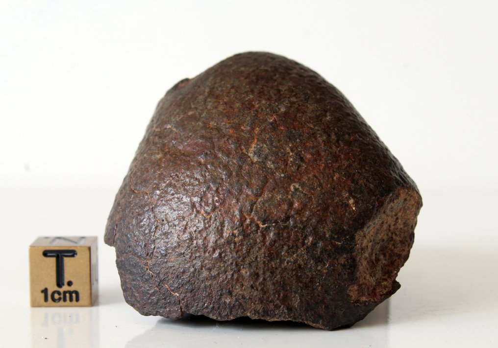 定向的未分类普通球粒陨石 球粒隕石 - 122 g - (1) #1.0