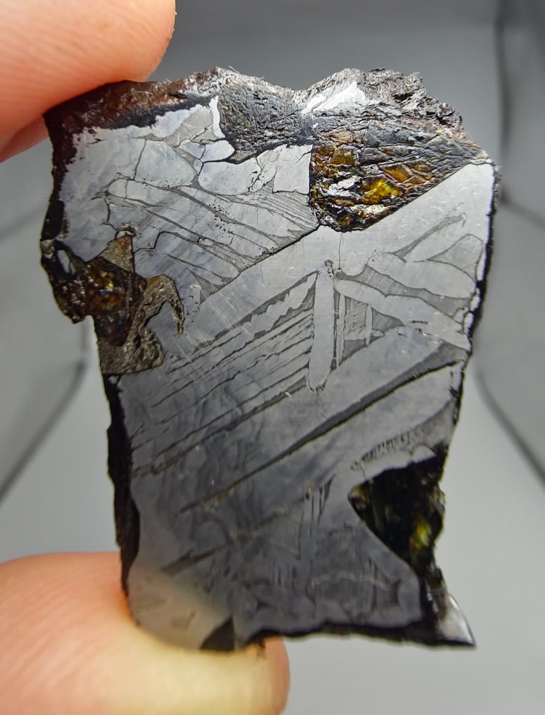 Pallasite Meteorite, NWA 16774. No reserve price. - 10.42 g #1.0