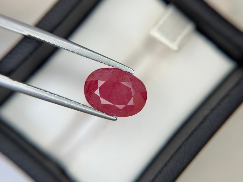 χωρίς τιμή ασφαλείας - 1 pcs  Κόκκινο Ρουμπίνι  - 5.69 ct - Lotus Gemology - Χωρίς θέρμανση, πλούσιο κόκκινο ρουμπί. #2.1