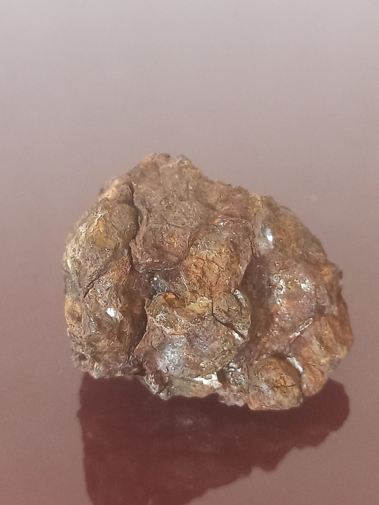 PALASITA SERICHO. Complete specimen. No reserve price!!! - 39.36 g #1.0