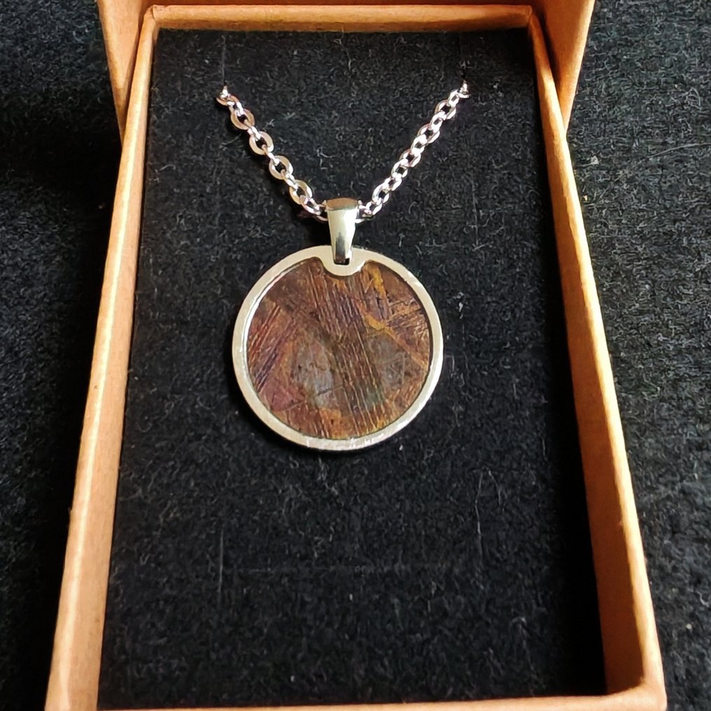 Steel and Muonionalusta meteorite pendant with a stainless steel chain. Iron meteorite - Height: 26 mm - Width: 21 mm - 4.36 g - (1) #1.0