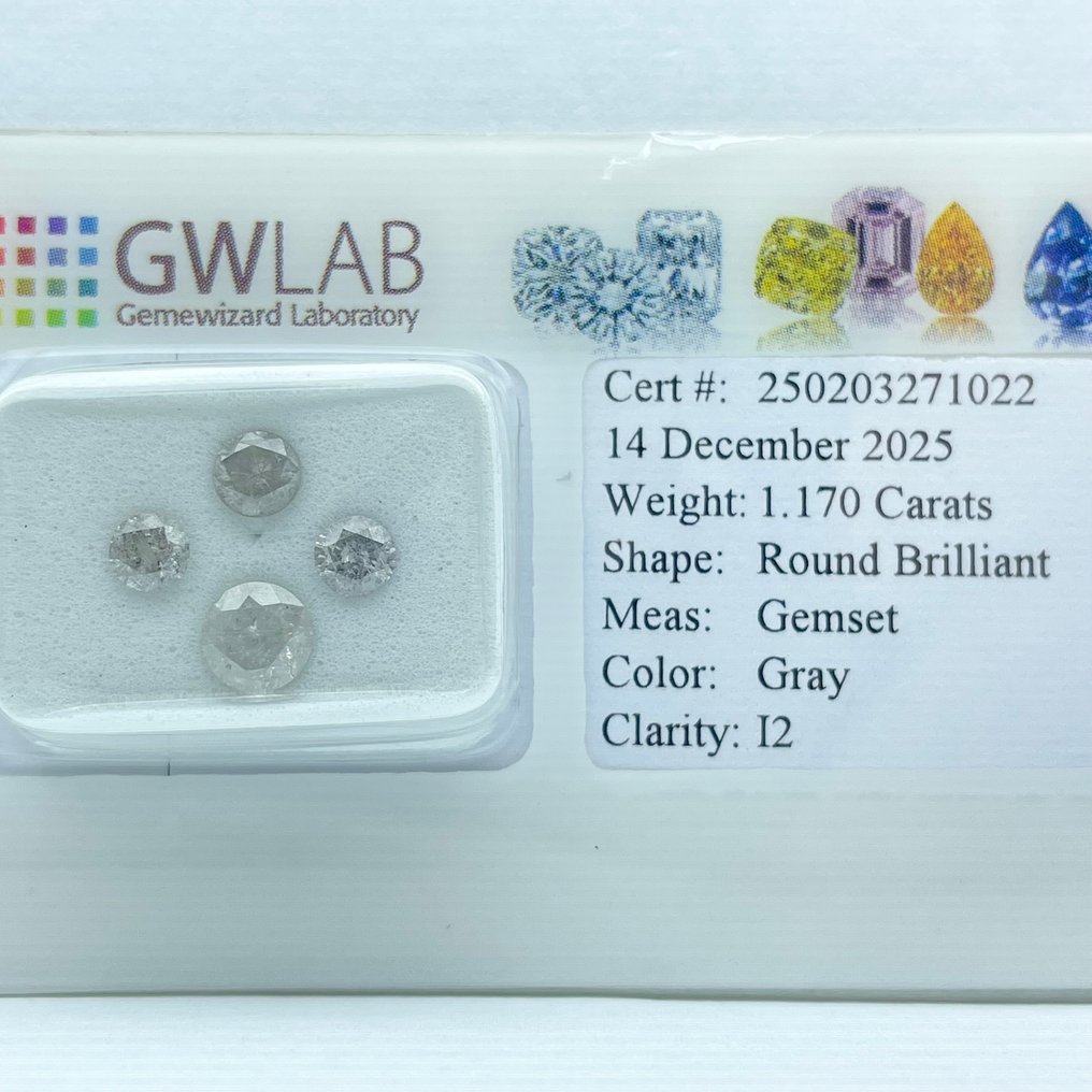 Zonder minimumprijs - 4 pcs Diamant  (Natuurlijk gekleurd)  - 1.17 ct - Rond Grijs - P2 - Gemewizard Gemological Laboratory (GWLab) #1.0