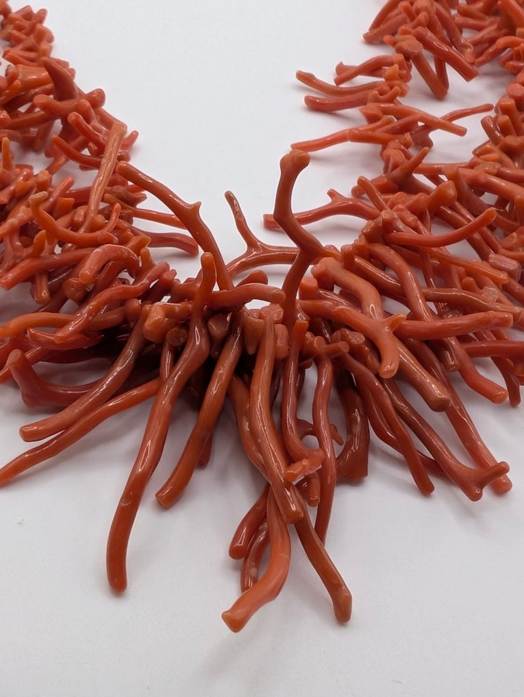 Coral - Prata - Colar #2.1