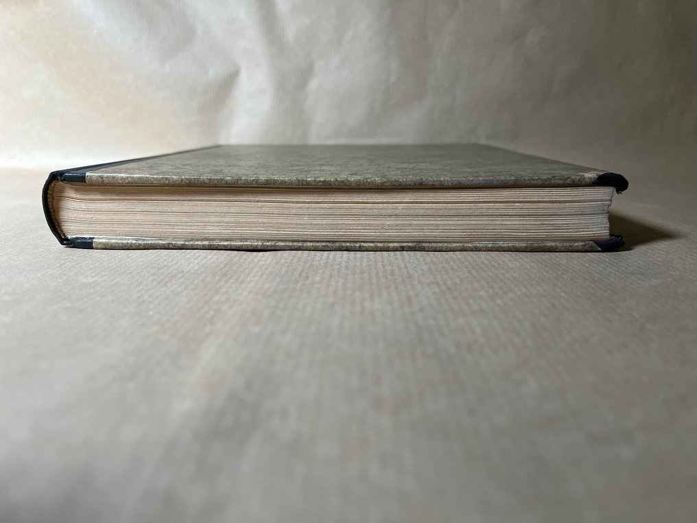 Hans Prinzhorn - Bildnerei der Geisteskranken. Ein Beitrag zur Psychologie und Psychopathologie der Gestaltung - 1922-1922 #4.3