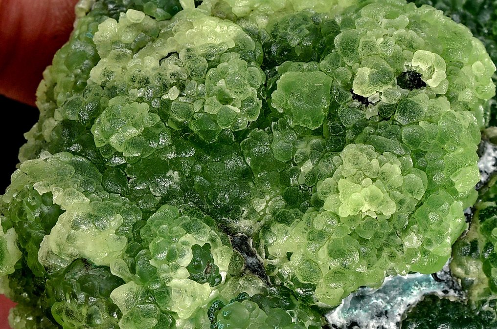 Wonderful deep green Smithsonite from Namibia - Height: 7.8 cm - Width: 6.5 cm- 158 g #2.1