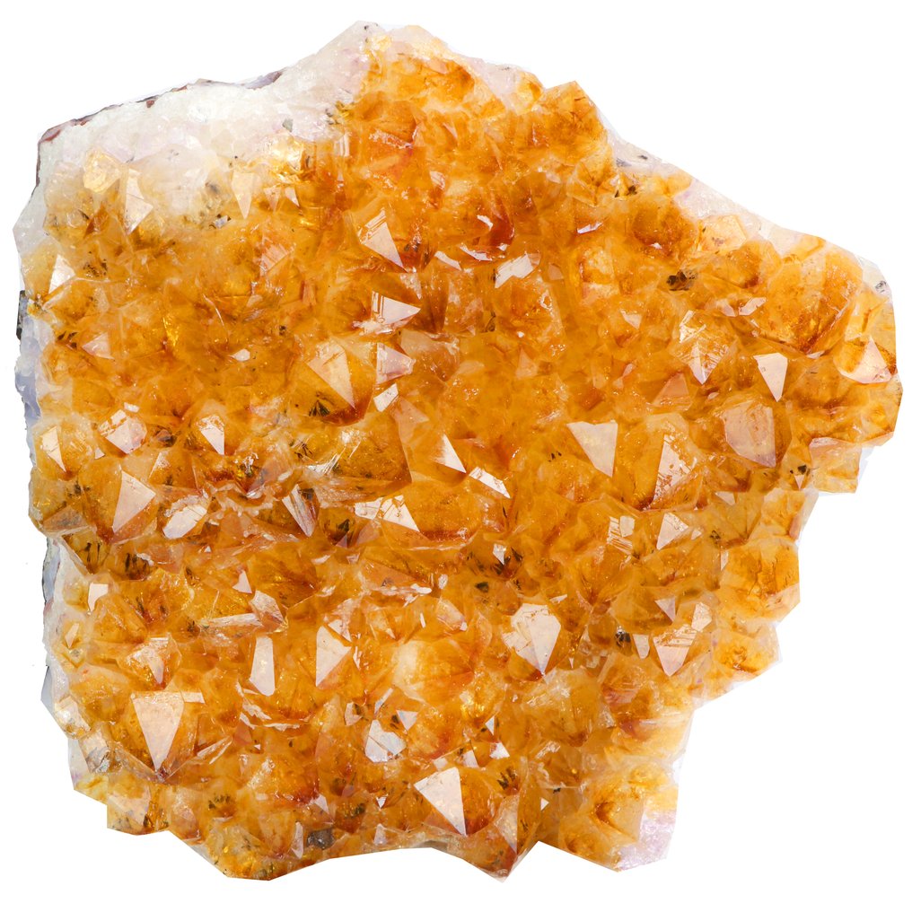 Vivid Citrine - Geode - 24x22x10 cm- 5.7 kg #1.0