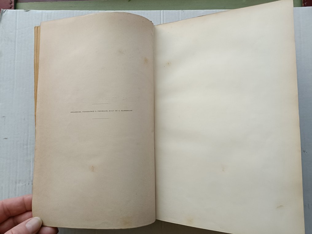 E. de Puydt / M. Leroy / M. Guibert - Les Orchidées - 1880 #4.3