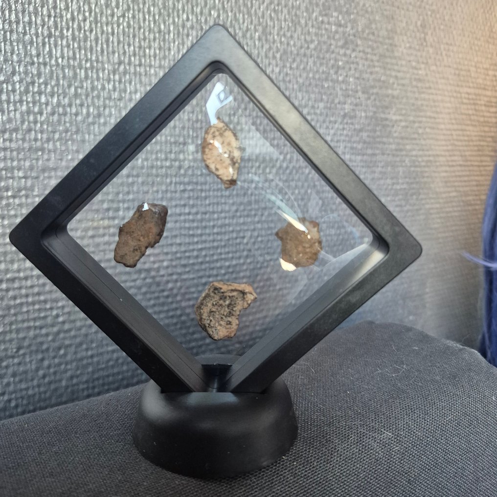 Al Haggounia 001 meteorite Beautiful display - Height: 28 mm - Width: 21 mm - 12.5 g - (4) #1.0