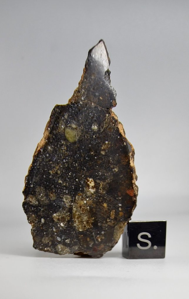 Meteorite Howardite HED, Bechar 008. Brak ceny minimalnej. - 37.41 g #1.0