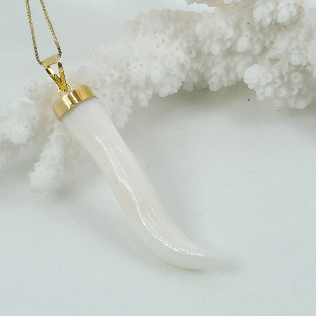 Corail - Argent - Collier avec pendentif - Corne en corail blanc #4.3